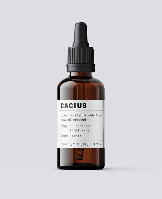 plant food - cacti + succulent