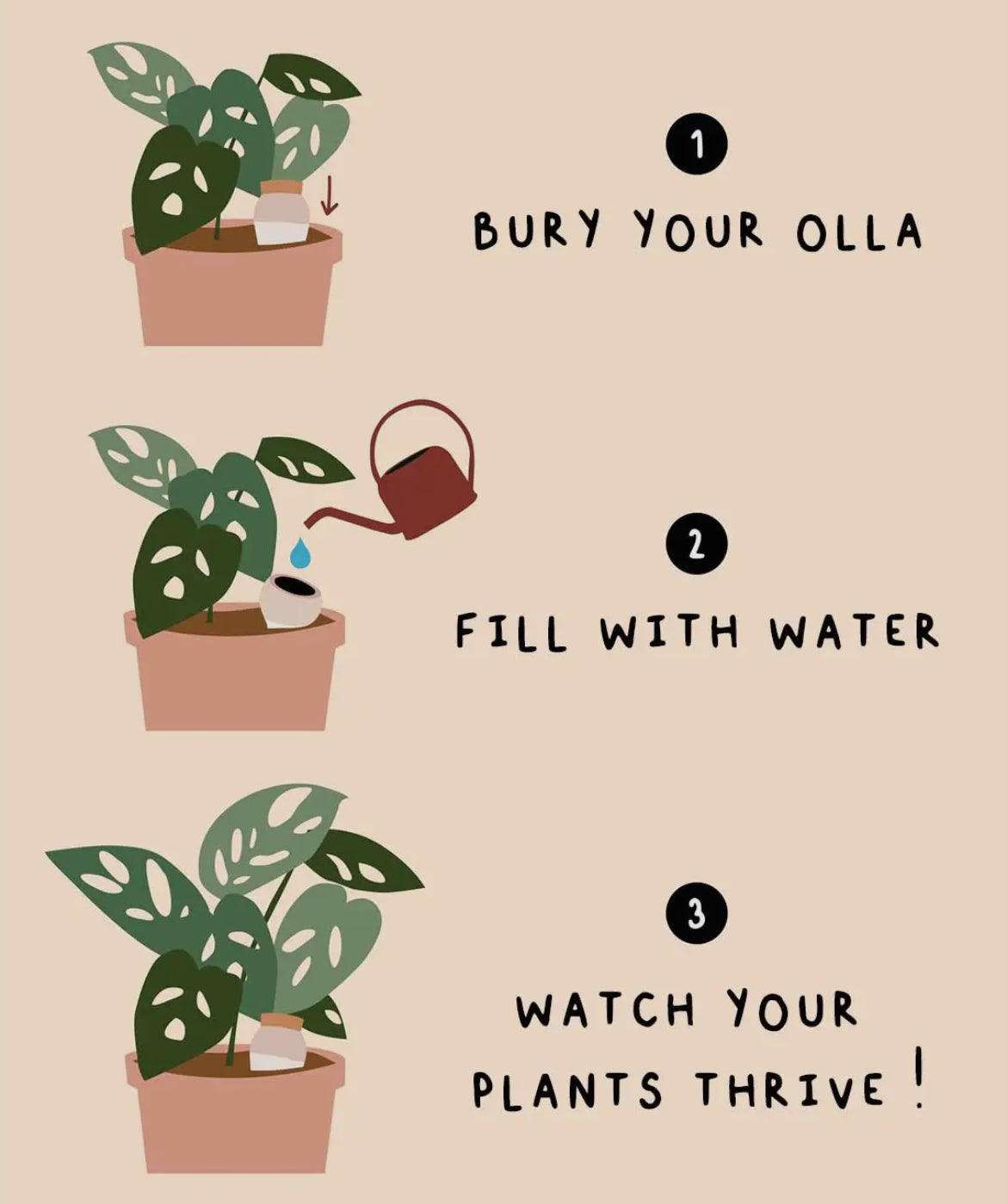 hydrating olla